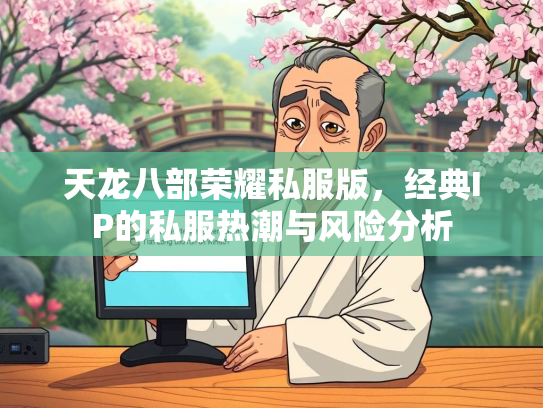 天龙八部荣耀私服版，经典IP的私服热潮与风险分析  第2张