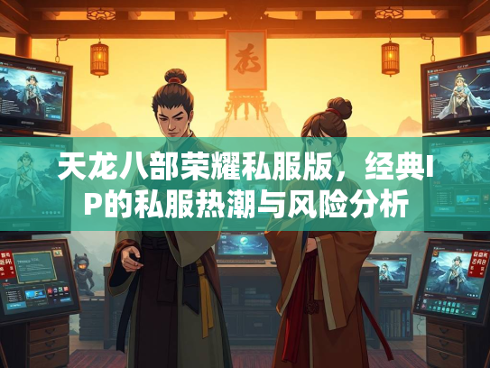 天龙八部荣耀私服版，经典IP的私服热潮与风险分析  第3张