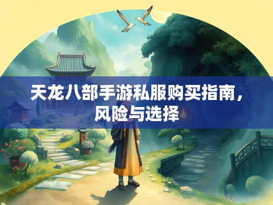 天龙八部手游私服购买指南，风险与选择  第3张
