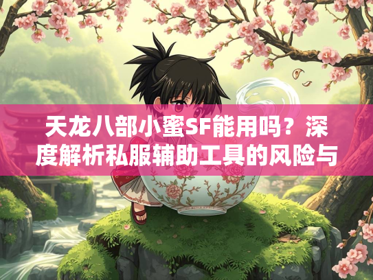 天龙八部小蜜SF能用吗？深度解析私服辅助工具的风险与替代方案  第3张