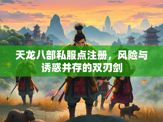天龙八部私服点注册，风险与诱惑并存的双刃剑