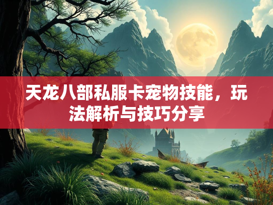 天龙八部私服卡宠物技能，玩法解析与技巧分享