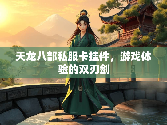 天龙八部私服卡挂件，游戏体验的双刃剑