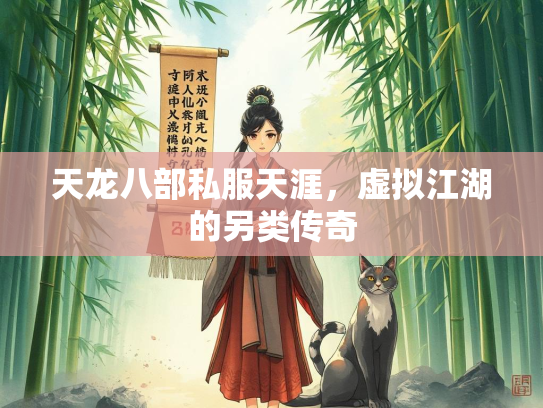 天龙八部私服天涯，虚拟江湖的另类传奇