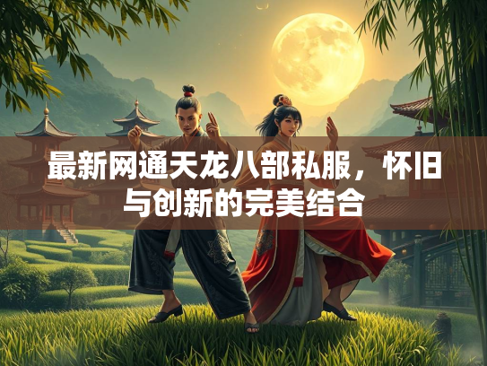 最新网通天龙八部私服，怀旧与创新的完美结合