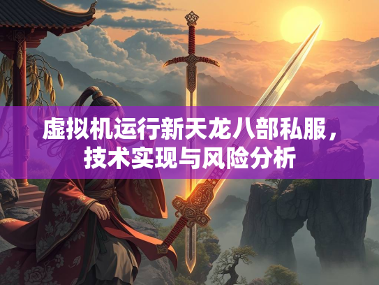 虚拟机运行新天龙八部私服，技术实现与风险分析