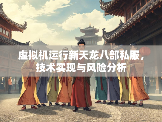 虚拟机运行新天龙八部私服，技术实现与风险分析