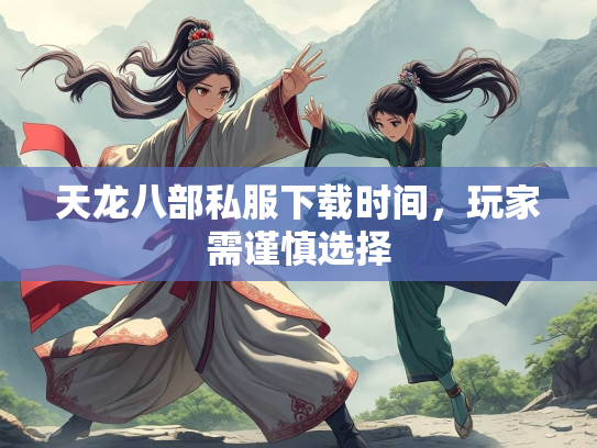 天龙八部私服下载时间，玩家需谨慎选择  第2张