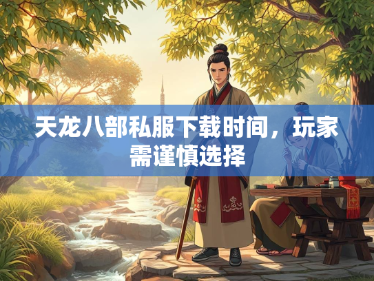 天龙八部私服下载时间，玩家需谨慎选择  第3张