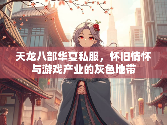 天龙八部华夏私服，怀旧情怀与游戏产业的灰色地带