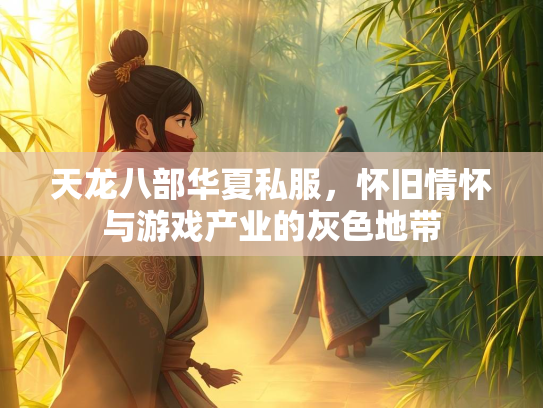 天龙八部华夏私服，怀旧情怀与游戏产业的灰色地带