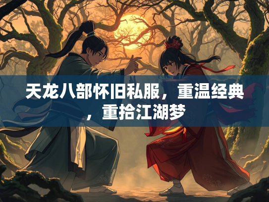天龙八部怀旧私服，重温经典，重拾江湖梦  第2张