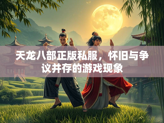 天龙八部正版私服，怀旧与争议并存的游戏现象