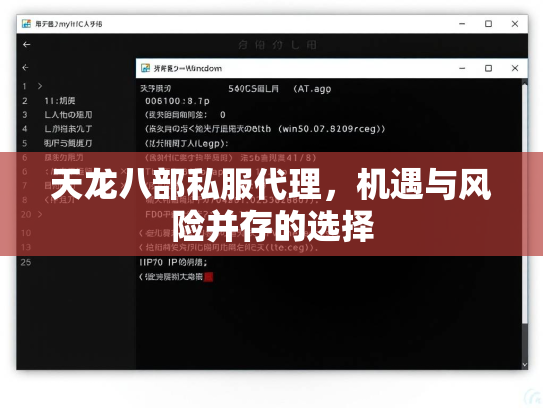 天龙八部私服代理，机遇与风险并存的选择