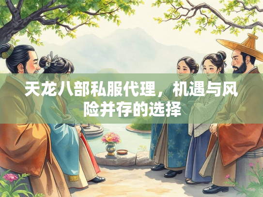 天龙八部私服代理，机遇与风险并存的选择