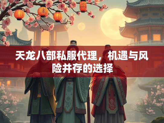 天龙八部私服代理，机遇与风险并存的选择
