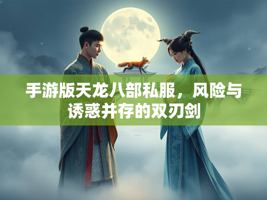 手游版天龙八部私服，风险与诱惑并存的双刃剑  第4张