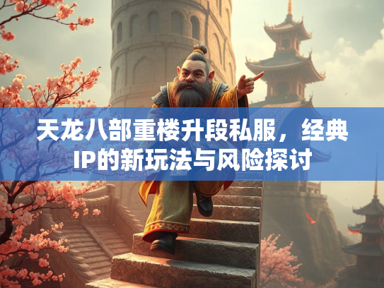 天龙八部重楼升段私服，经典IP的新玩法与风险探讨  第2张
