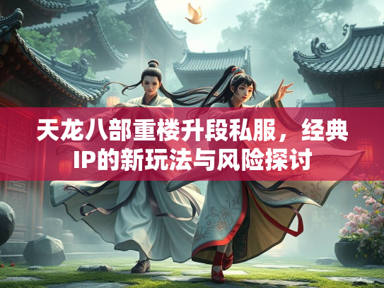 天龙八部重楼升段私服，经典IP的新玩法与风险探讨  第3张
