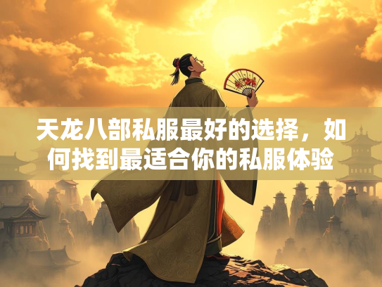 天龙八部私服最好的选择，如何找到最适合你的私服体验  第2张