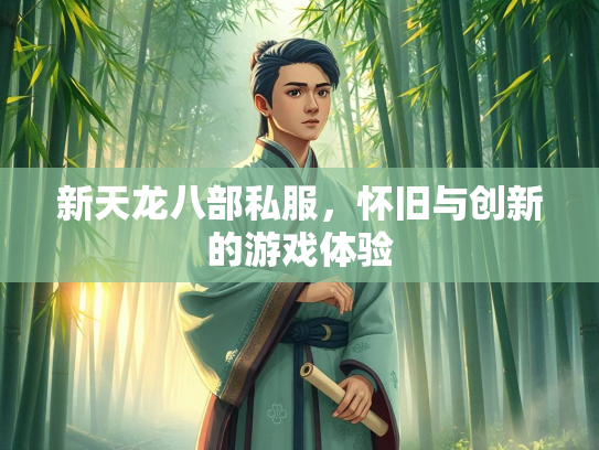 新天龙八部私服，怀旧与创新的游戏体验