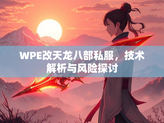 WPE改天龙八部私服，技术解析与风险探讨  第2张