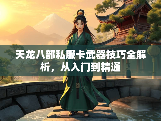 天龙八部私服卡武器技巧全解析，从入门到精通