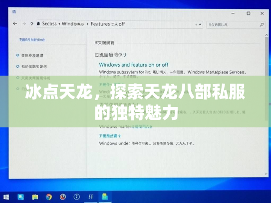 冰点天龙，探索天龙八部私服的独特魅力