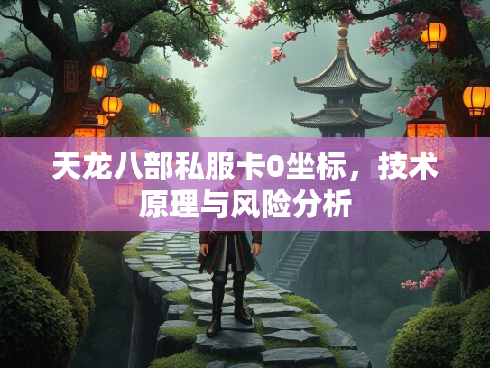 天龙八部私服卡0坐标，技术原理与风险分析