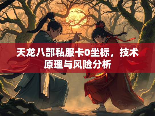 天龙八部私服卡0坐标，技术原理与风险分析