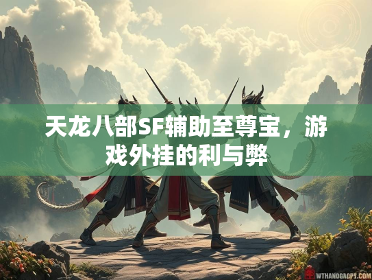 天龙八部SF辅助至尊宝，游戏外挂的利与弊