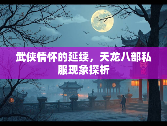 武侠情怀的延续，天龙八部私服现象探析