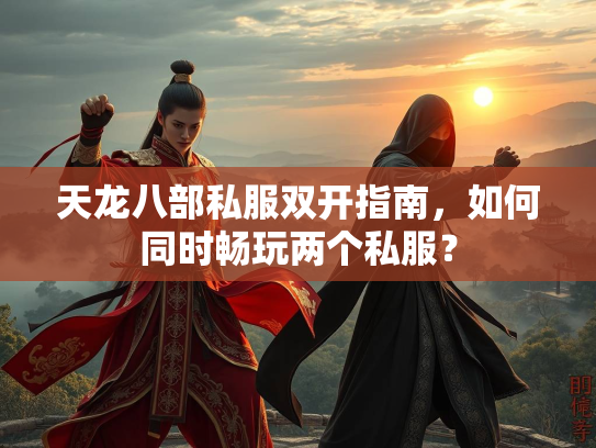 天龙八部私服双开指南，如何同时畅玩两个私服？