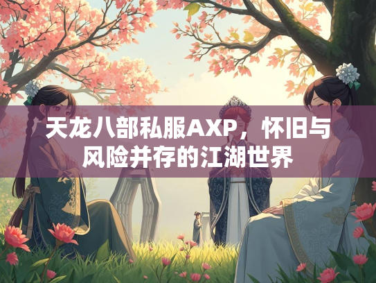 天龙八部私服AXP，怀旧与风险并存的江湖世界