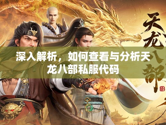 深入解析，如何查看与分析天龙八部私服代码