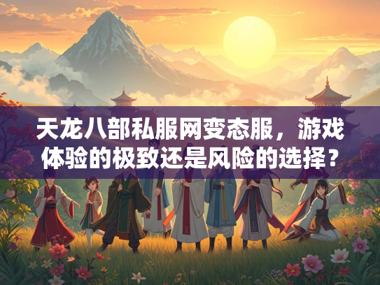 天龙八部私服网变态服，游戏体验的极致还是风险的选择？