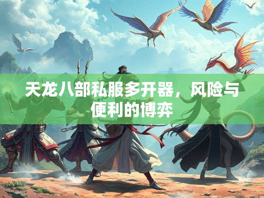 天龙八部私服多开器，风险与便利的博弈
