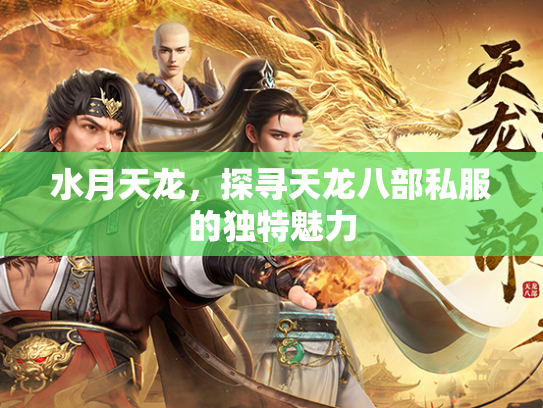 水月天龙，探寻天龙八部私服的独特魅力
