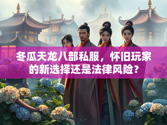 冬瓜天龙八部私服，怀旧玩家的新选择还是法律风险？