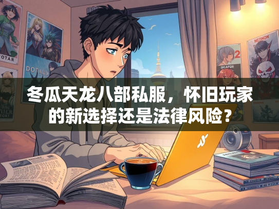 冬瓜天龙八部私服，怀旧玩家的新选择还是法律风险？