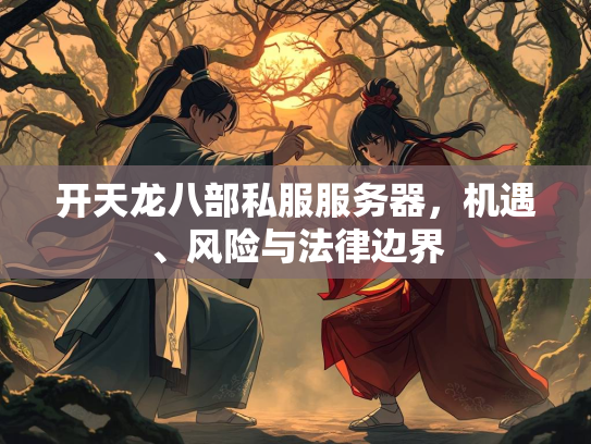 开天龙八部私服服务器，机遇、风险与法律边界
