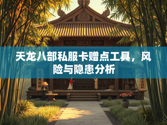 天龙八部私服卡赠点工具，风险与隐患分析