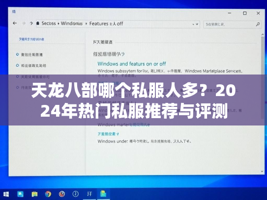 天龙八部哪个私服人多？2024年热门私服推荐与评测