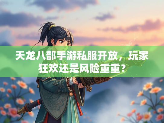 天龙八部手游私服开放，玩家狂欢还是风险重重？  第3张