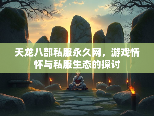 天龙八部私服永久网，游戏情怀与私服生态的探讨