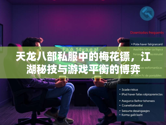 天龙八部私服中的梅花镖，江湖秘技与游戏平衡的博弈  第2张
