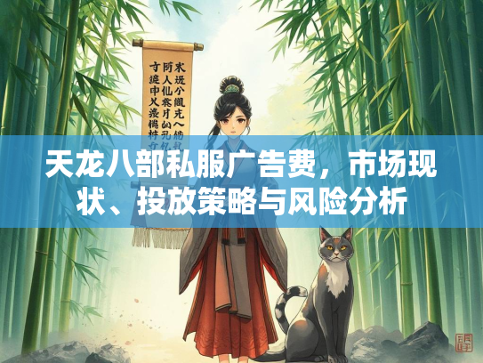 天龙八部私服广告费，市场现状、投放策略与风险分析