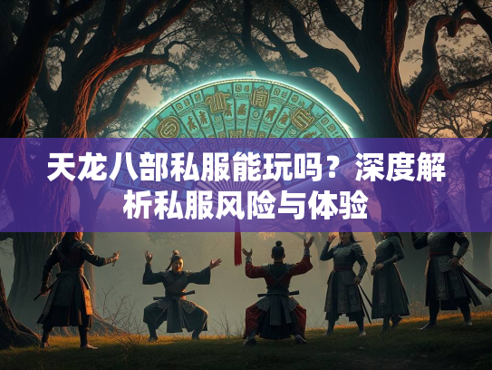 天龙八部私服能玩吗？深度解析私服风险与体验