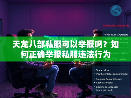 天龙八部私服可以举报吗？如何正确举报私服违法行为