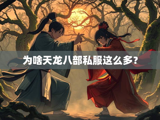 为啥天龙八部私服这么多？